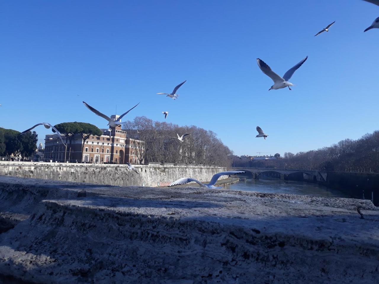 Lungotevere Collection Suite Rom Eksteriør billede